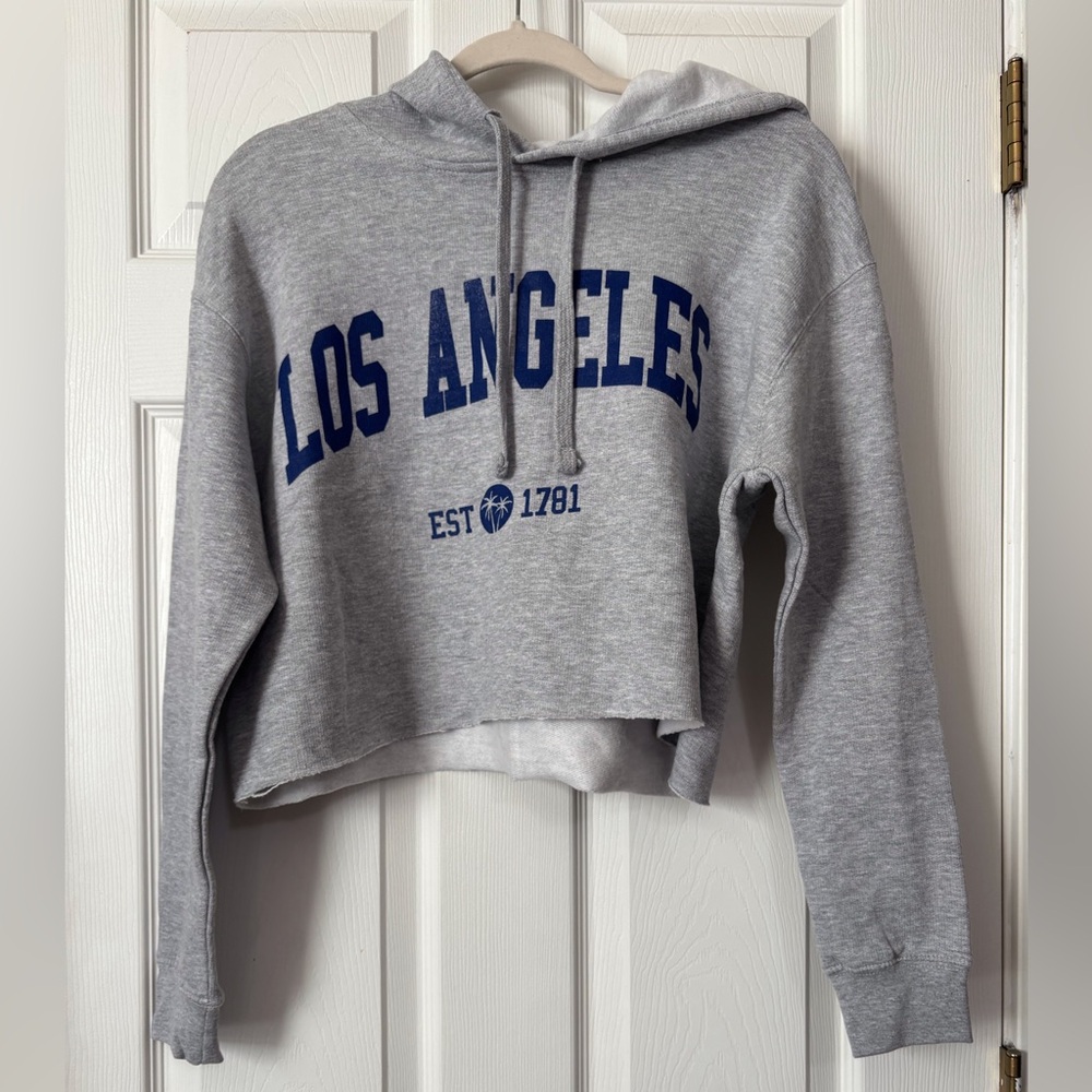 NWT Smart Blanks Cropped Gray Los Angeles Hoodie